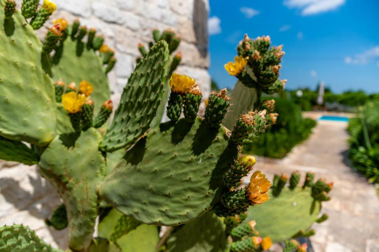Villa WePuglia - Trullo Rampone Martina Franca Esterno foto